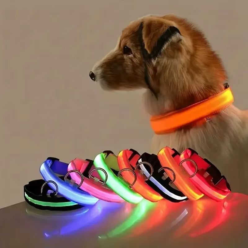 LED Glow-in-the-Dark Dog Leash & Collar Set – Nylon Night Safety Luminous Fluorescent Pet Lead