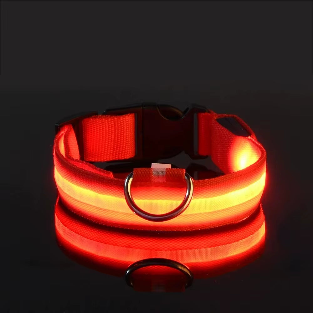LED Glow-in-the-Dark Dog Leash & Collar Set – Nylon Night Safety Luminous Fluorescent Pet Lead