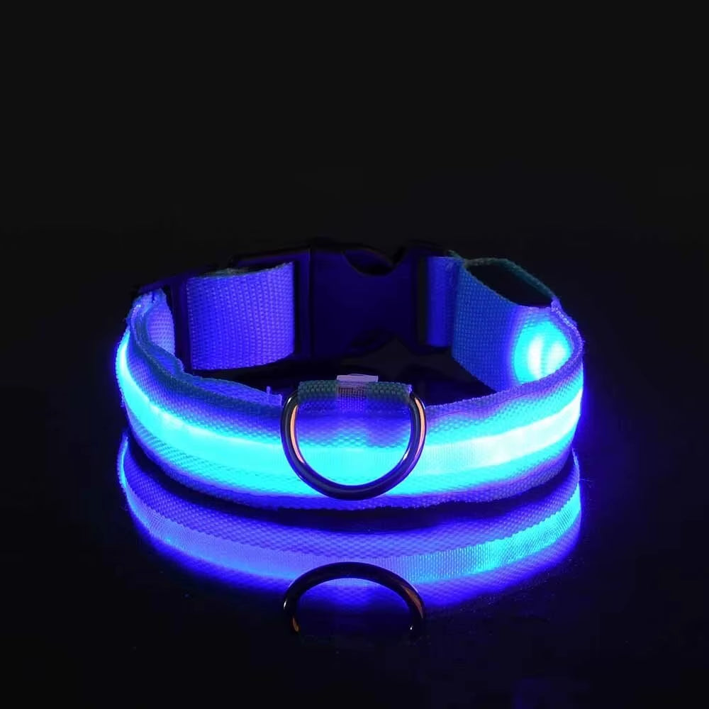 LED Glow-in-the-Dark Dog Leash & Collar Set – Nylon Night Safety Luminous Fluorescent Pet Lead