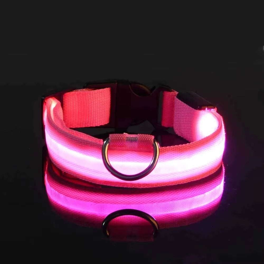 LED Glow-in-the-Dark Dog Leash & Collar Set – Nylon Night Safety Luminous Fluorescent Pet Lead