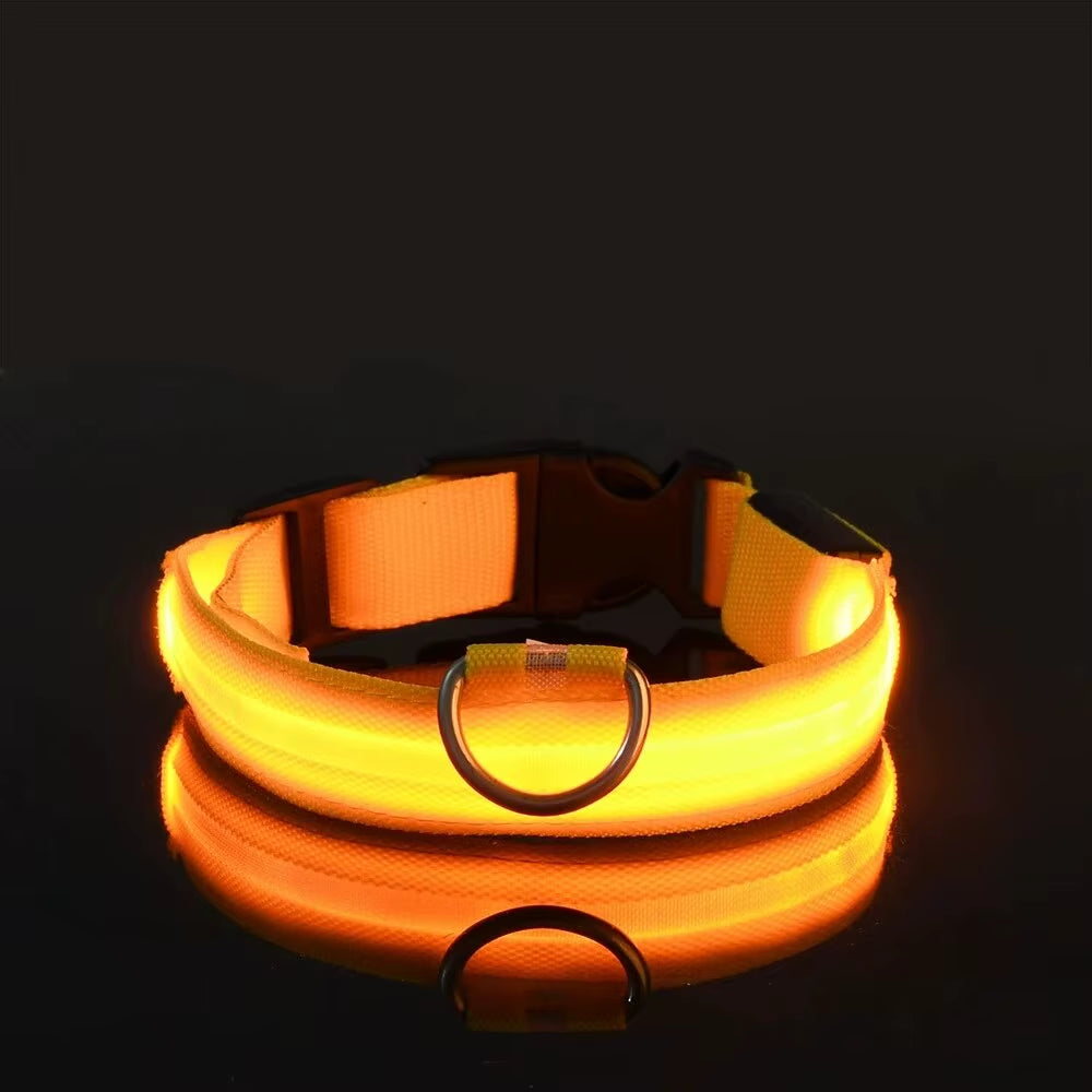 LED Glow-in-the-Dark Dog Leash & Collar Set – Nylon Night Safety Luminous Fluorescent Pet Lead