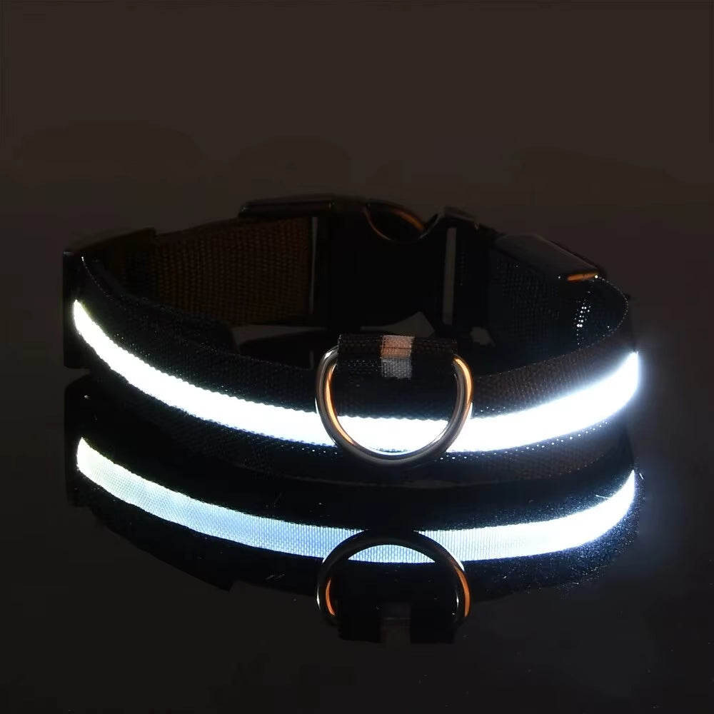 LED Glow-in-the-Dark Dog Leash & Collar Set – Nylon Night Safety Luminous Fluorescent Pet Lead