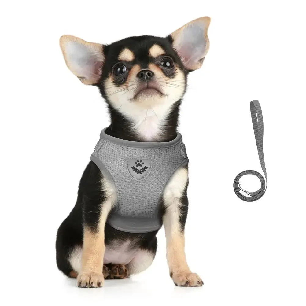 Escape-Proof Cat Harness & Leash Set – Adjustable Reflective Mesh Vest for Cats, Kittens & Small Dogs